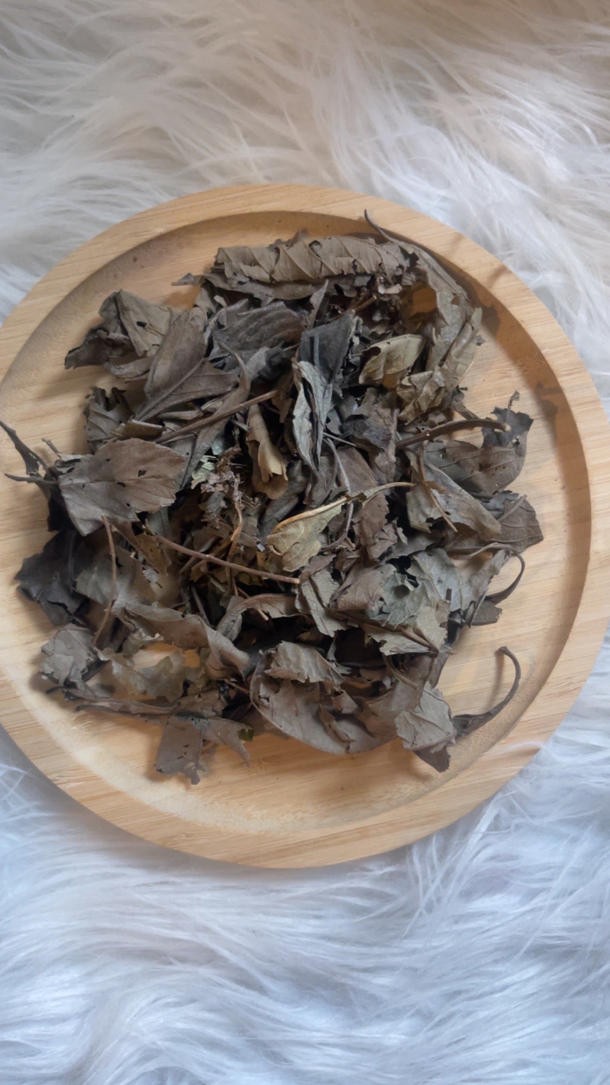 Kinkeliba -Tisane pour soulager les ballonnements et le transit