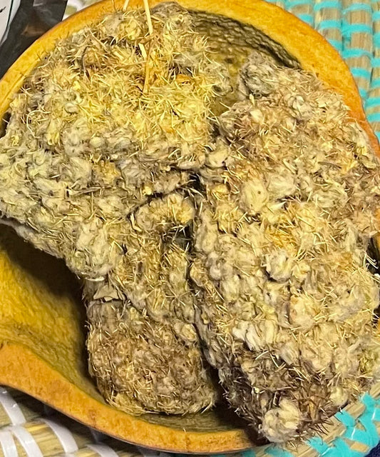 Collé serré plantes -secret de femmes