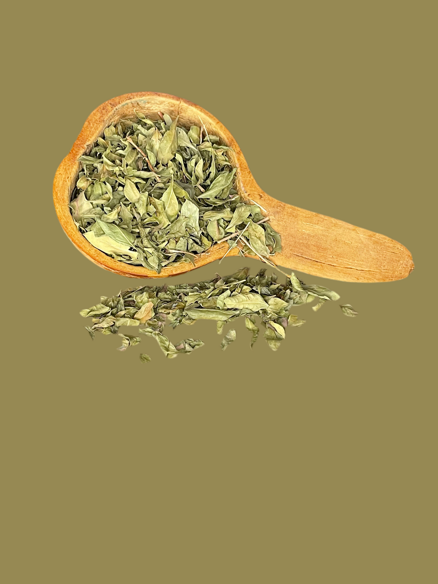 Feuilles de Moringa -booste de l’énergie/l’anémie