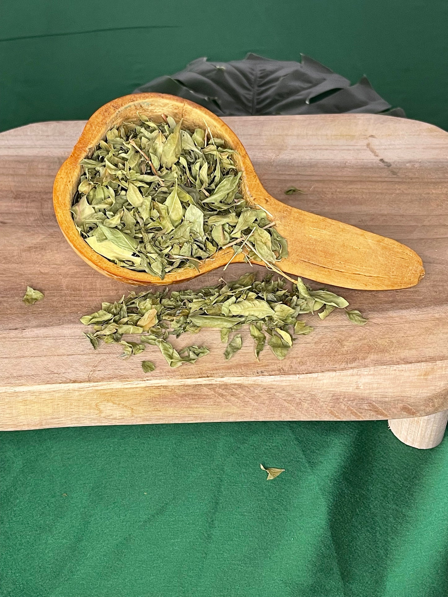 Feuilles de Moringa -booste de l’énergie/l’anémie