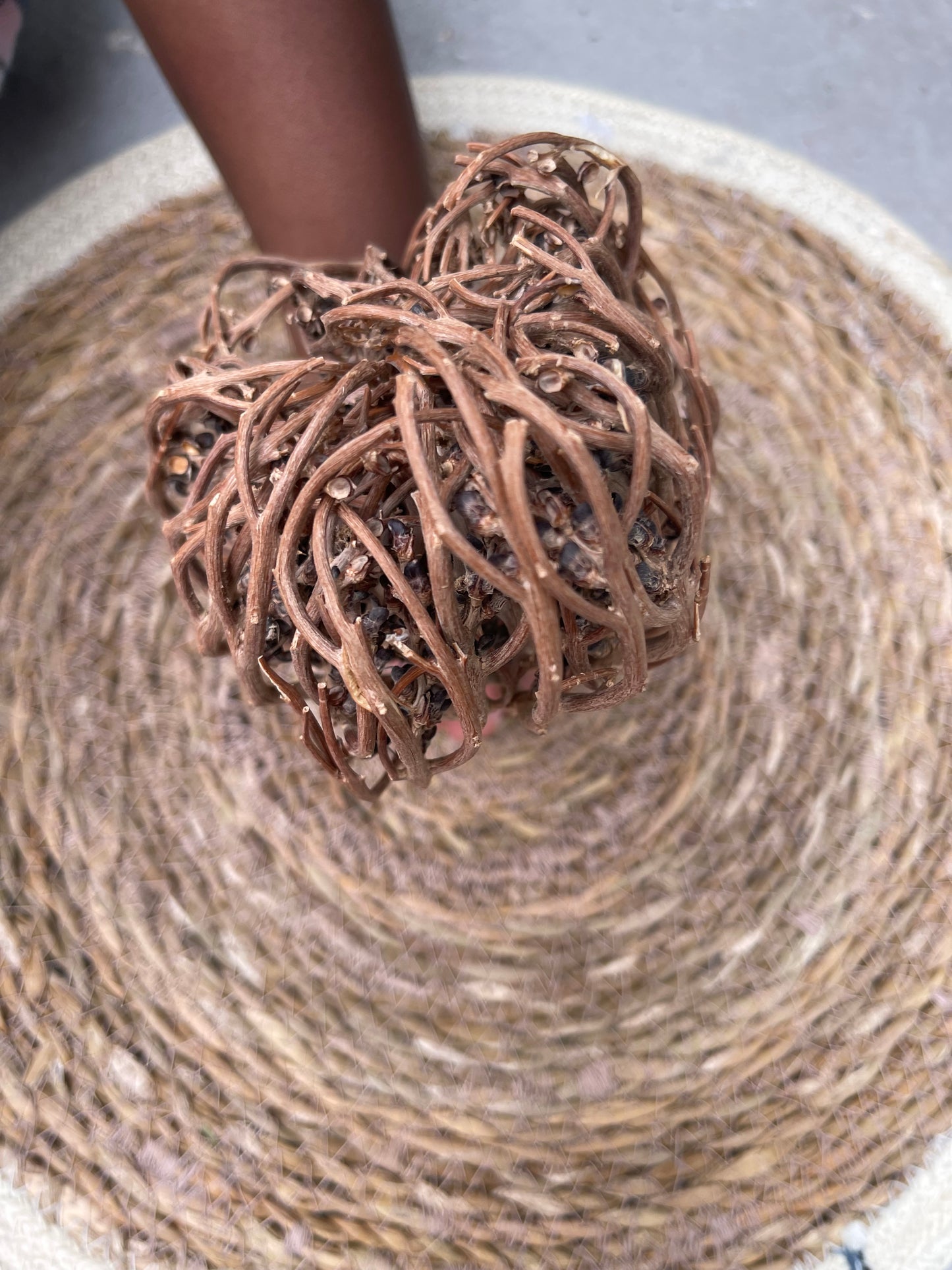 Rose de jericho*( boost la fertilité)