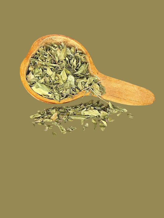 Feuilles de Moringa -booste de l’énergie/l’anémie